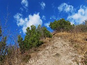 62 In ripida salita tra pini mughi ad alto fusto